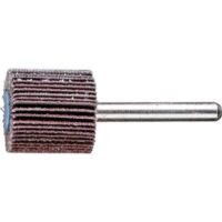 Flap Wheel 1/4"Mtd 25 X 25 X 60G - Pferd