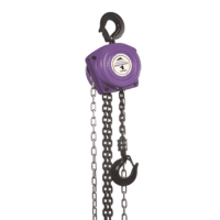Chain Block - 1 Ton X 6Mtr