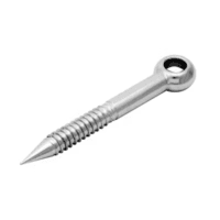 M12 X 100 Lag Screw Eye 316